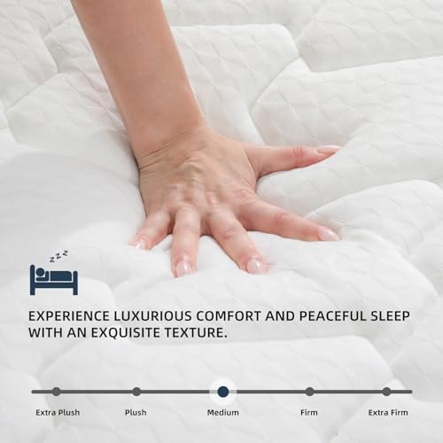 MOLBIUS Queen Mattress 10 Inch | Queen Size Hybrid Mattresses in a Box | Medium Firm Feel Memory Foam and Individual Pocket Springs | Fiberglass Free Bed Matress | Breathable | CertiPUR-US | Upgrade