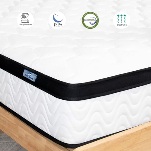 MOLBIUS Queen Mattress 10 Inch | Queen Size Hybrid Mattresses in a Box | Medium Firm Feel Memory Foam and Individual Pocket Springs | Fiberglass Free Bed Matress | Breathable | CertiPUR-US | Upgrade