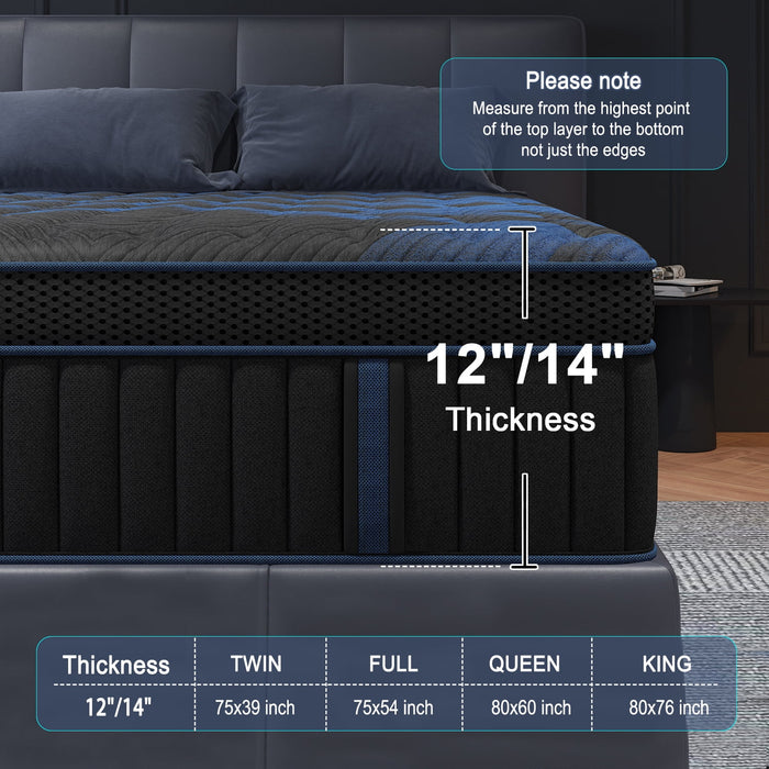 COLETEX Queen Mattress 14inch Gel Memory Foam Mattress in a box Hybrid