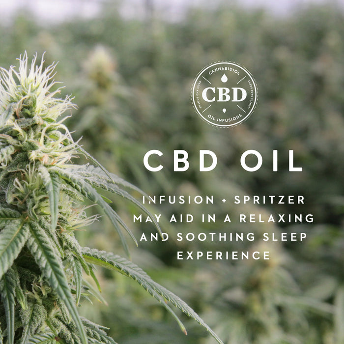 Zoned Dough + CBD Oil Shoulder Pillow