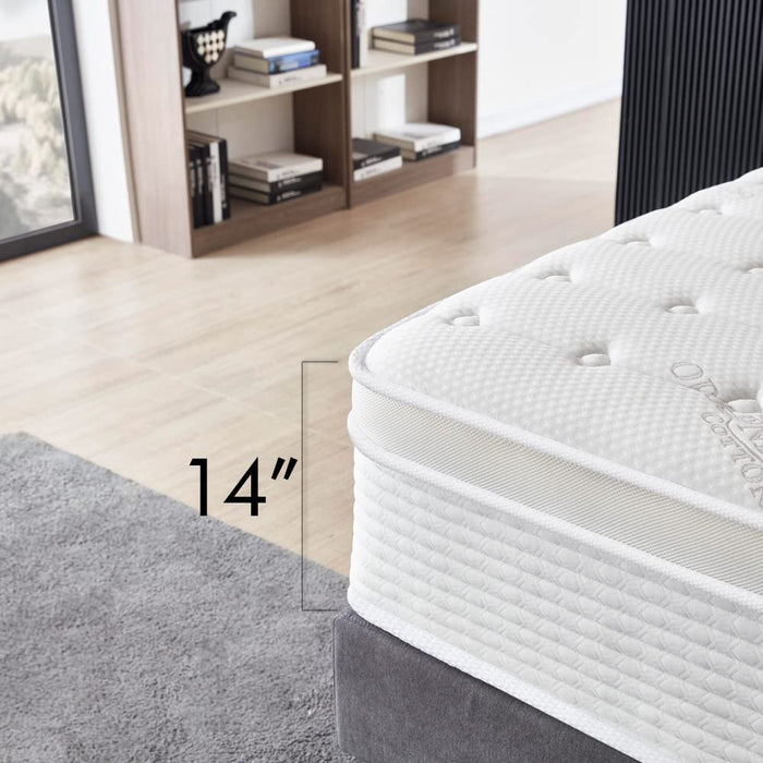 Queen Size Mattress - 14 Inch Cool Memory Foam & Spring Hybrid Mattress with Breathable Cover - Comfort Plush Euro Pillow Top - Rolled in a Box - Oliver & Smith