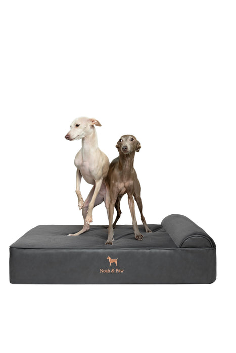 NOAH & PAW Large Dog Bed, 35x25x8.7 Inch, Orthopedic Dog Beds, Eggshell Memory Foam Infused with Cooling Gel, Water Resistant, Machine Washable, Includes Inner Cover