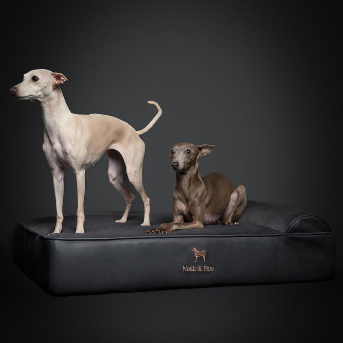 NOAH & PAW Large Dog Bed, 35x25x8.7 Inch, Orthopedic Dog Beds, Eggshell Memory Foam Infused with Cooling Gel, Water Resistant, Machine Washable, Includes Inner Cover