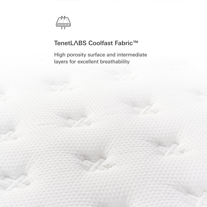 Plush Dream Full Mattress 12 Inch Hybrid Pocketed Springs - Mattress in a Box with Memory Foam, Soft Plush Feel, Motion Isolation, Multi-Zone Spinal Support