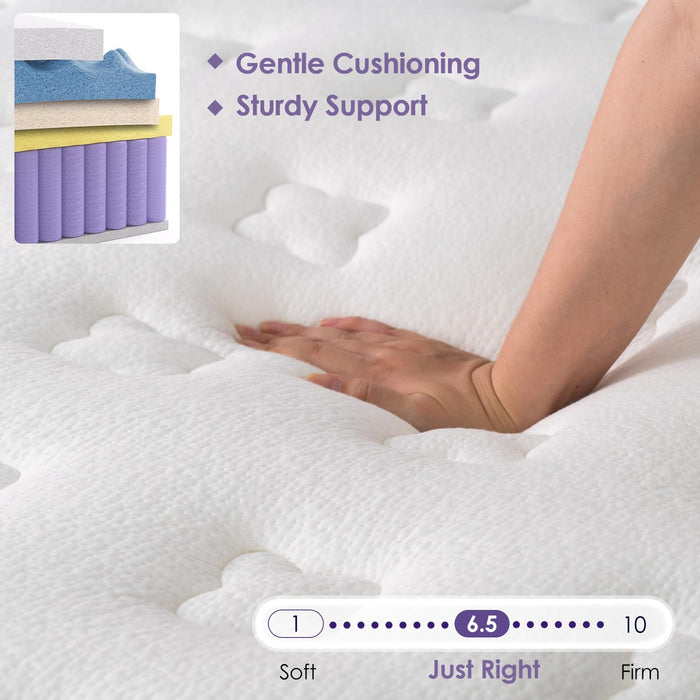 Queen Mattress, 12 Inch Hybrid Mattress in a Box, 5-zone Support for Back Pain Relief, Edge Retention, Medium Firm Blends Cooling-Memory Foam & Deluxe 2.0mm Pocket Spring, 365 Night Trial, CertiPUR-US