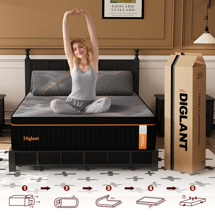 DIGLANT Queen Mattress,14 Inch Plush Hybrid Mattress,Soft Memory Foam with Individually Pocket Springs Mattress Queen Size in Box, Euro Top Mattress for Pressure Relief,Balanced Support, 60"*80"