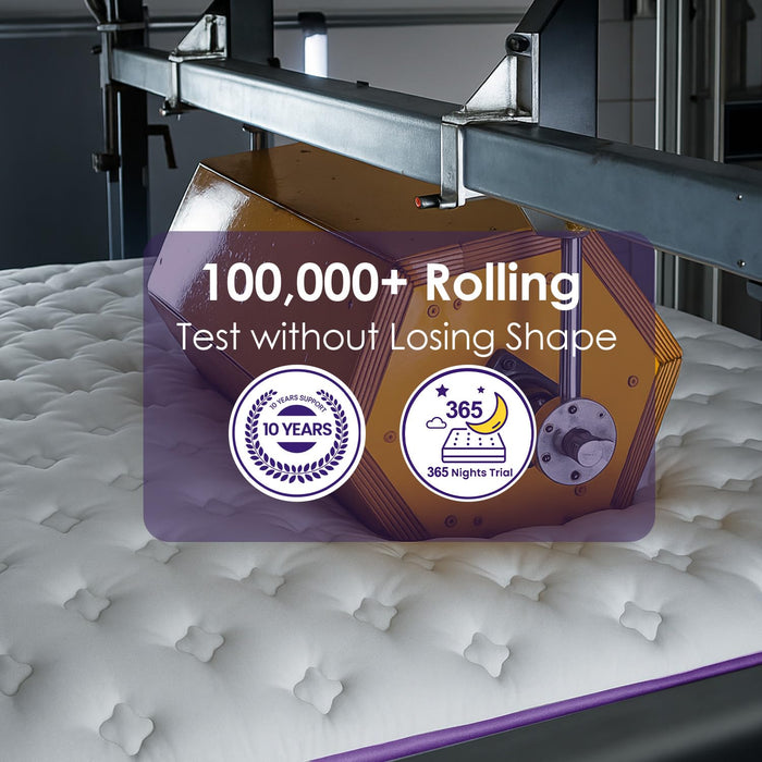 Queen Mattress, 12 Inch Hybrid Mattress in a Box, 5-zone Support for Back Pain Relief, Edge Retention, Medium Firm Blends Cooling-Memory Foam & Deluxe 2.0mm Pocket Spring, 365 Night Trial, CertiPUR-US