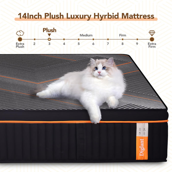 DIGLANT Queen Mattress,14 Inch Plush Hybrid Mattress,Soft Memory Foam with Individually Pocket Springs Mattress Queen Size in Box, Euro Top Mattress for Pressure Relief,Balanced Support, 60"*80"