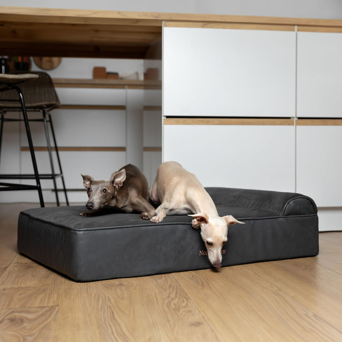 NOAH & PAW Large Dog Bed, 35x25x8.7 Inch, Orthopedic Dog Beds, Eggshell Memory Foam Infused with Cooling Gel, Water Resistant, Machine Washable, Includes Inner Cover