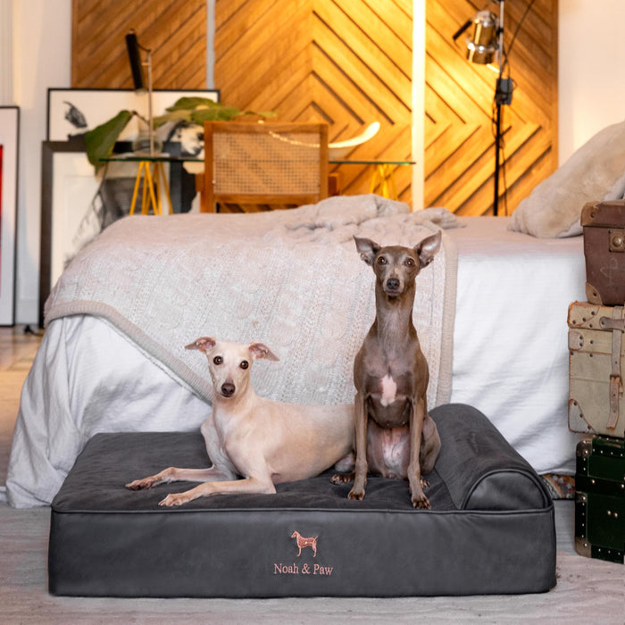 NOAH & PAW Large Dog Bed, 35x25x8.7 Inch, Orthopedic Dog Beds, Eggshell Memory Foam Infused with Cooling Gel, Water Resistant, Machine Washable, Includes Inner Cover