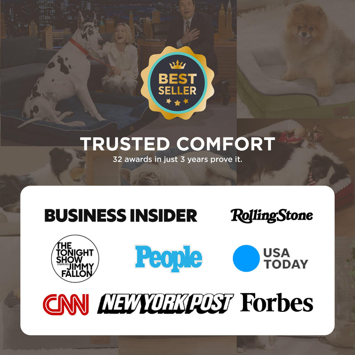 Bedsure Orthopedic Dog Beds for Small Dogs - Washable Small Dog Cat Bed Waterproof, Comfort Pet Couch Sofa with Washable Removable Cover, Pets Bed with Nonskid Bottom, Grey, 24"