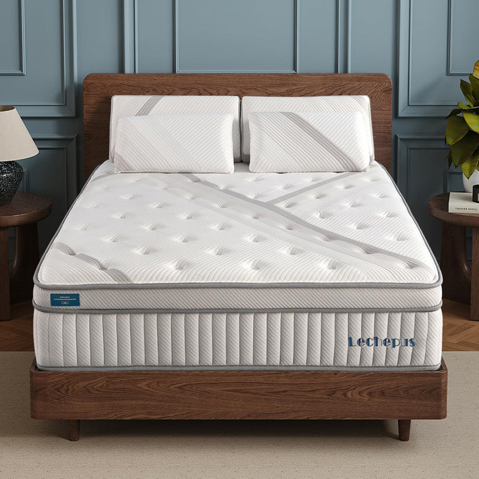 Queen Mattress, Lechepus 14Inch Medium Plush Queen Size Mattress in Box, Hybrid Mattress with Memory Foam & 7-Zone Individual Pocket Spring Mattress, Supportive & Pressure Relief, 60"*80"