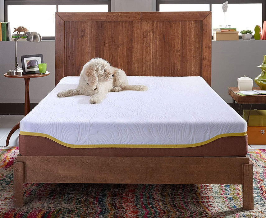 Live & Sleep Elite Queen Size 12 Inch Firm Memory Foam Mattress, Cool Bed in a Box, CertiPUR-US Certified, Fiberglass Free Bed Matress in a Box, Pressure Relief Support (60 × 80 x 12 in)