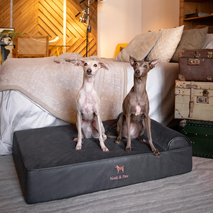 NOAH & PAW Large Dog Bed, 35x25x8.7 Inch, Orthopedic Dog Beds, Eggshell Memory Foam Infused with Cooling Gel, Water Resistant, Machine Washable, Includes Inner Cover