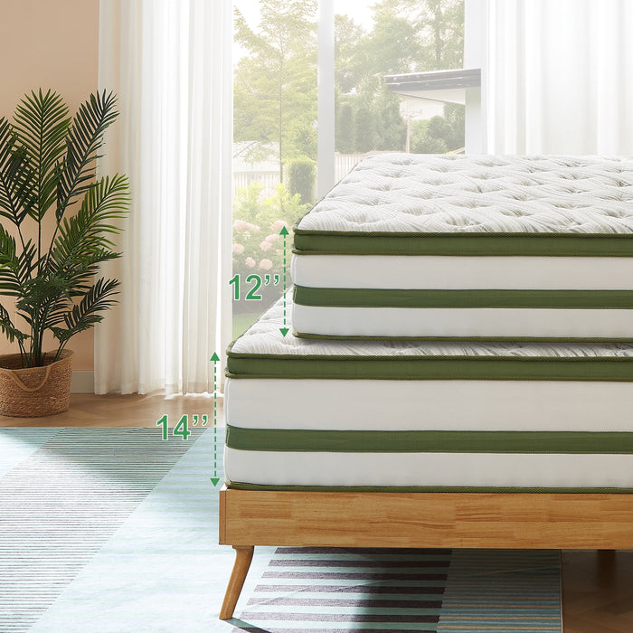 FOLVUTY Queen Mattress 14 inch Gel Memory Foam Hybrid Mattress and Poc