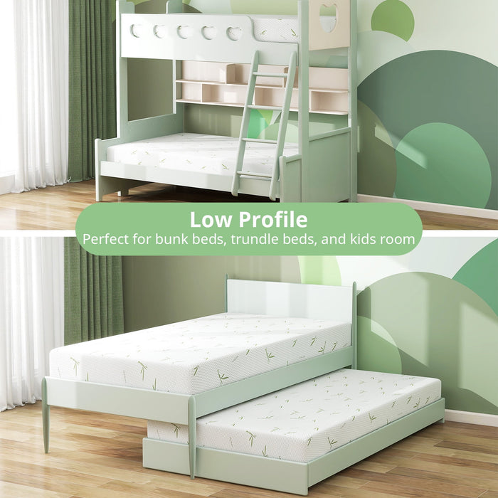 Twin Mattress, 6 inch Memory Foam Mattress Bed in a Box, with Green Te