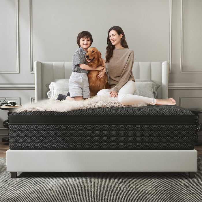 Kviwasha 12 inch Queen Mattress in a Box Pocket Innerspring Hybrid Mat