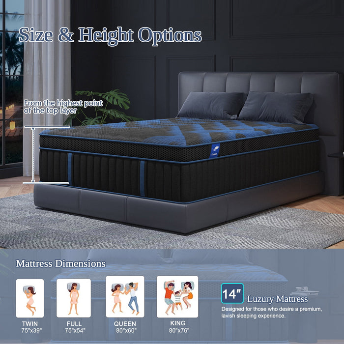 COLETEX Queen Mattress 14inch Gel Memory Foam Mattress in a box Hybrid