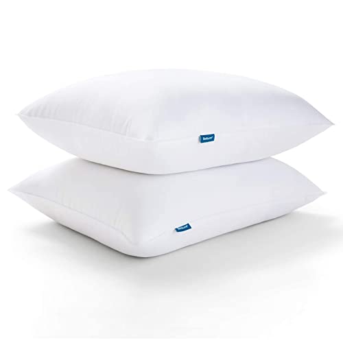 Bedsure Pillows Queen Size Set of 2 - Queen Pillows 2 Pack Down Alternative Hotel Quality Bed Pillows for Sleeping Soft and Supportive Pillows for Side and Back Sleepers