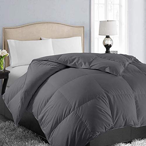 EASELAND All Season Queen Size Soft Quilted Down Alternative Comforter Reversible Duvet Insert with Corner Tabs,Winter Summer Warm Fluffy ,Dark Grey,88x88 inches