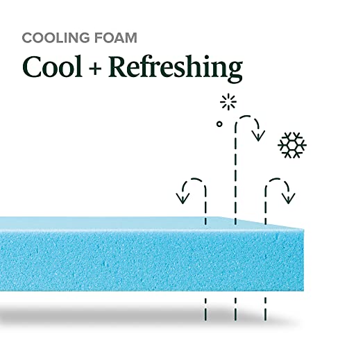 ZINUS 10 Inch Green Tea Cooling Gel Memory Foam Mattress / Cooling Gel Foam / Pressure Relieving / CertiPUR-US Certified / Bed-in-a-Box, Full