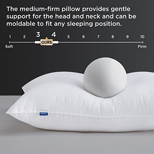 Bedsure Pillows Queen Size Set of 2 - Queen Pillows 2 Pack Down Alternative Hotel Quality Bed Pillows for Sleeping Soft and Supportive Pillows for Side and Back Sleepers