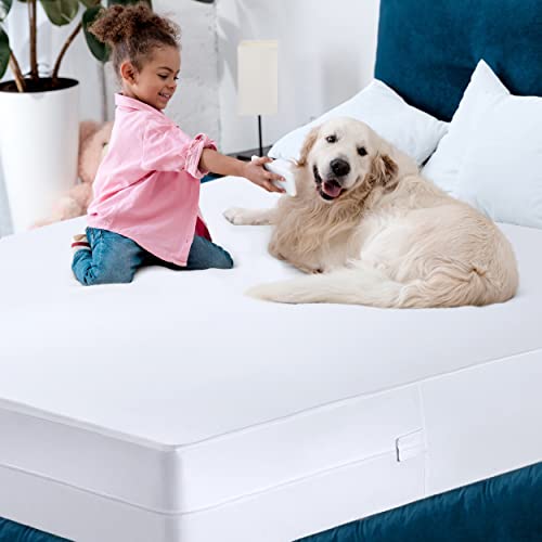 Quilted Fitted Mattress Pad (Queen) - Mattress Cover Stretches up to 17  Inches Deep - Mattress Topper by Utopia Bedding 