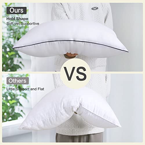 EASELAND Pillows Queen Size Set of 2, Plush Down Alternative Pillows with Silky Satin Pillowcases, 20×30 Inch Medium Soft for Stomach & Back Sleepers