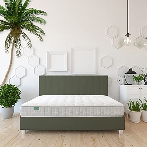 NATURAL LIFE PALMPRING Puri King Mattress - Organic Latex Coconut Coir 10” Soft 4 Layered Comfortable Sleep Bed Dust Free