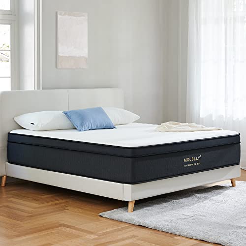 Molblly Queen Mattress, 12 Inch Hybrid Mattress in a Box with Gel Memory Foam, Individually Wrapped Pocket Coils Innerspring, Pressure-Relieving and Supportive,Non-Fiberglass,Mattress Queen Size