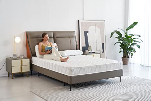 Home Life Comfort Sleep 6-Inch Mattress GreenFoam Egypt