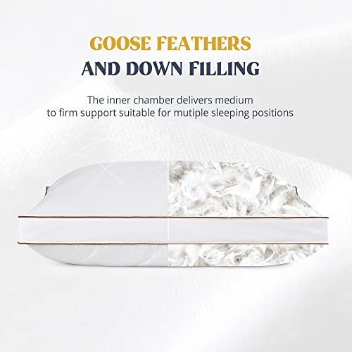 puredown Goose Feathers and Down Pillow for Sleeping Gusseted Bed Hotel Collection Pillows, Standard/Queen, Set of 2