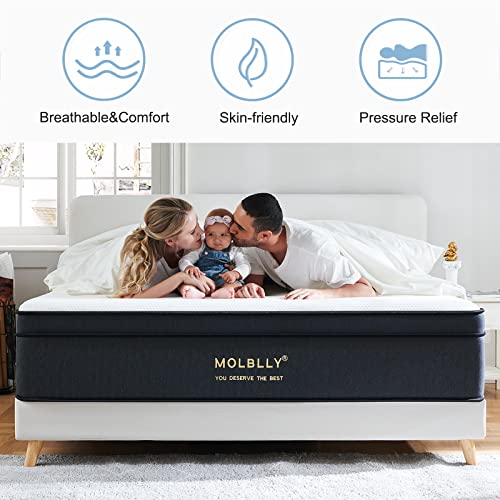 Molblly Queen Mattress, 12 Inch Hybrid Mattress in a Box with Gel Memory Foam, Individually Wrapped Pocket Coils Innerspring, Pressure-Relieving and Supportive,Non-Fiberglass,Mattress Queen Size