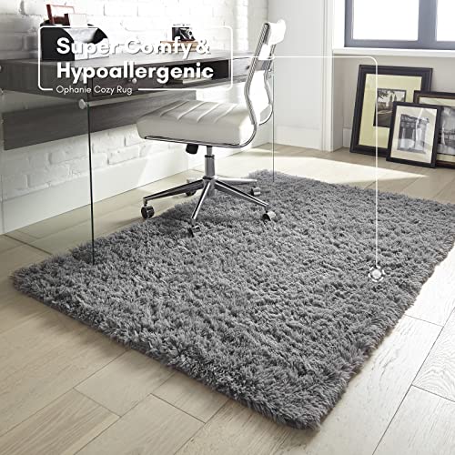 Ophanie Machine Washable Rugs for Bedroom 4x5.3, Fluffy Grey Shaggy Soft Area Rug, Gray Non-Slip Indoor Floor Carpet for Living Room, Kids Baby Boys Teen Dorm Home Decor Aesthetic, Nursery