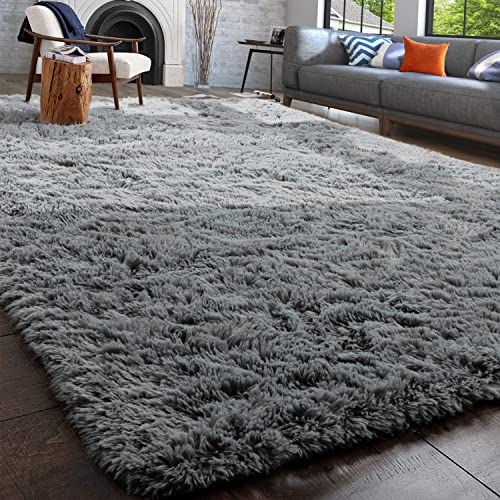 Ultra Soft Fluffy Area Rugs, 4x5.3 Feet, Gray