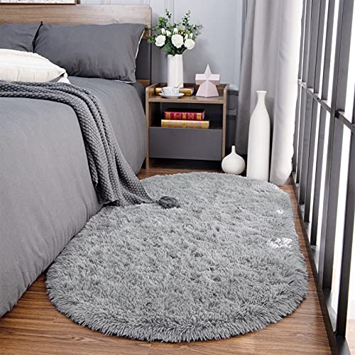 Noahas Ultra Soft Fluffy Bedroom Rugs Kids Room Carpet Modern Shaggy Area Rugs Home Decor 2.6' X 5.3', Grey