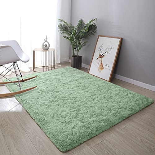 4X5.3 Ft Machine Washable Rugs Shaggy Soft Area Rug for Living