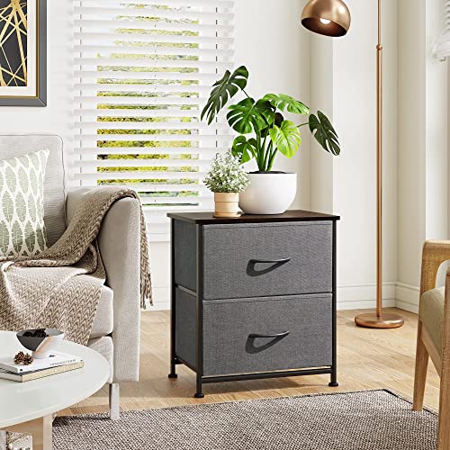WLIVE Nightstand, 2 Drawer Dresser for Bedroom, Small Dresser with 2 D