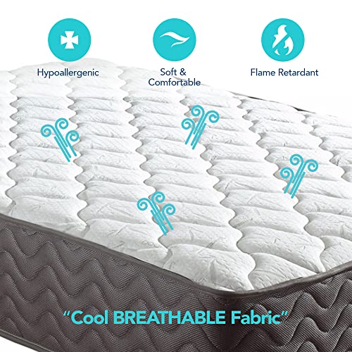 Swiss Ortho Sleep, Bamboo 12" Inch Certified Independently & Individually Wrapped Pocketed Encased Coil Pocket Spring Contour Mattress - Queen, Plush
