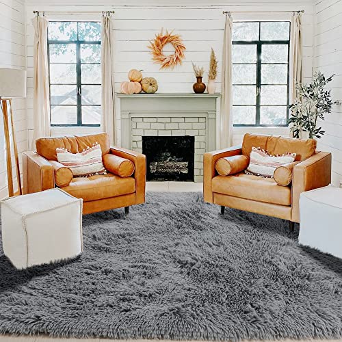 PAGISOFE Super Soft Shaggy Rugs Carpets, 4x6 Feet, Plush Area Rugs for Living Room Bedroom, Fluffy Rug for Nursery Playroom Dorm Room, Shag Plush Rug for Teen Room Decor, Grey