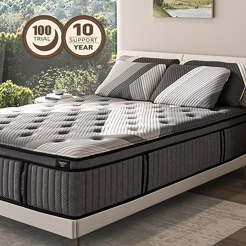 Queen Mattresses, Lechepus 14 Inch Queen Plush Hybrid Mattress Bed in a Box, 5 Layer Memory Foam with Pocket Springs for Supportive & Pressure Relief with Soft Fabric,100 Nights Trial,60"*80"